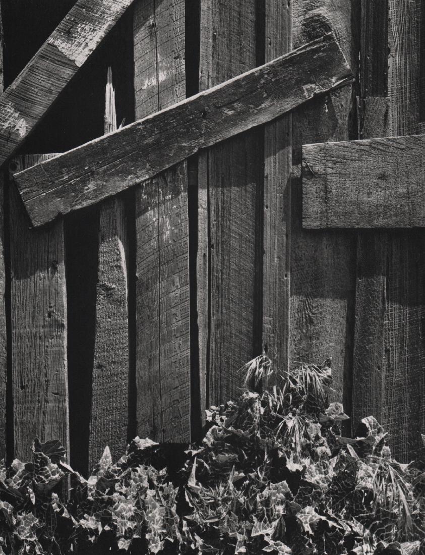 ANSEL ADAMS - Boards and Thistles: Artist: ANSEL ADAMS Print Title: Boards and Thistles Medium: Sheet-fed Gravure Printing Date: 1963 Printed in USA Image Size: 8.25 x 10.5 inches Ansel Adams (February 20, 1902 – April 22, 1984) was