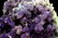 451 Gram Purple Chalcedony Grape Agate Crystals - 3