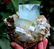 694 Gram Terminated Aquamarine Crystal & Muscovite Mica - 2