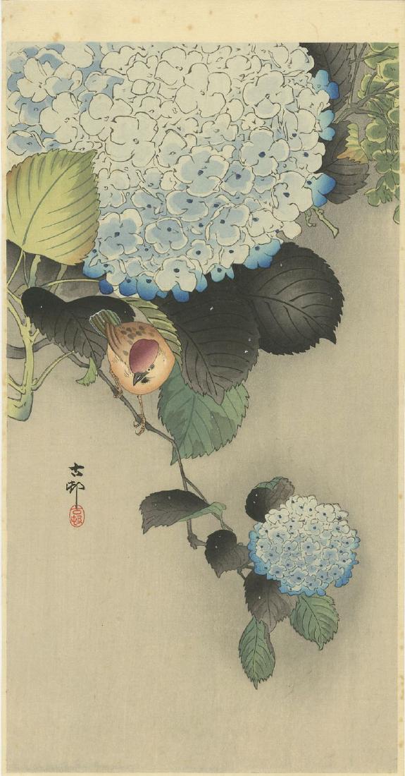 Ohara Koson Woodblock Sparrow on Hydrangea (1 of 2)