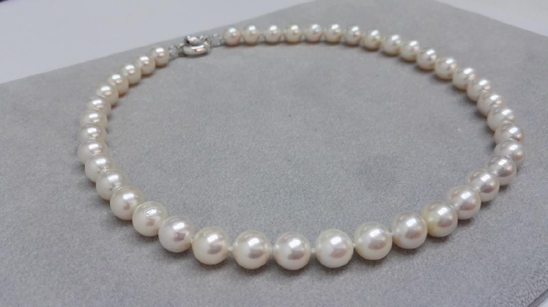 925 Silver Japanese Akoya White Pearl Necklace (1 of 4)