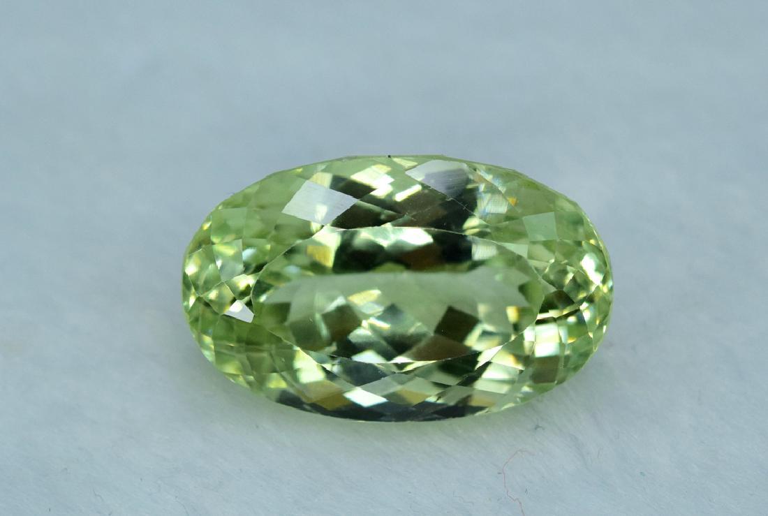 56.30 Carat Loose Green Kunzite (1 of 3)