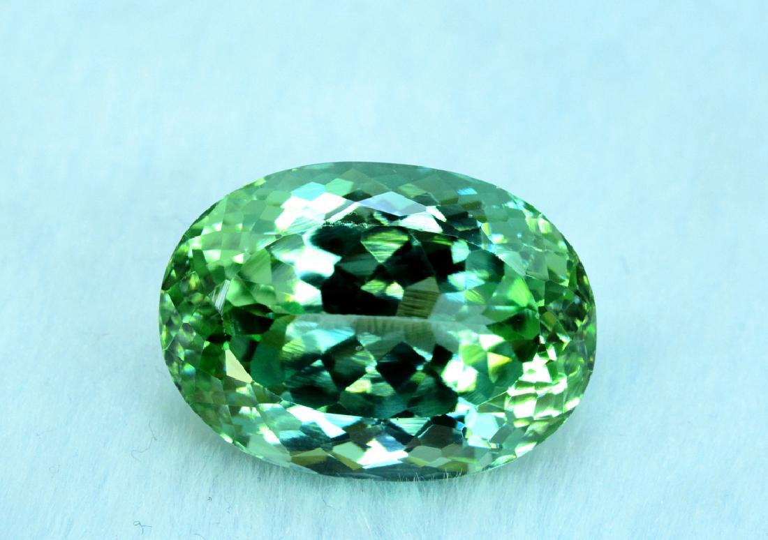 36.55 Carat Loose Lush Green Kunzite (1 of 5)