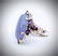 Sterling Silver Violet Jade Amethyst CZ Ring - 3