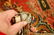 Detailed High Kpsi Persian Bijar Rug 2.3x2.5 - 5