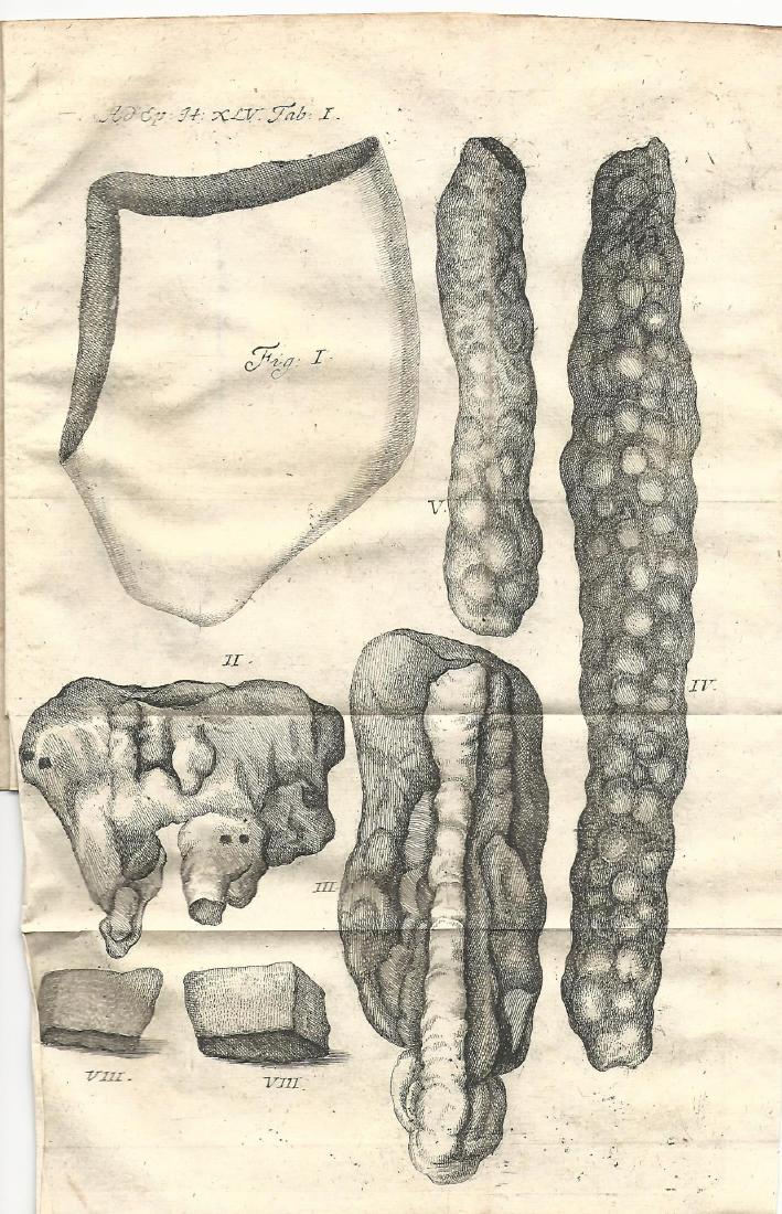 1734 Epistola Itineraria Minerals Folding Plate (1 of 2)
