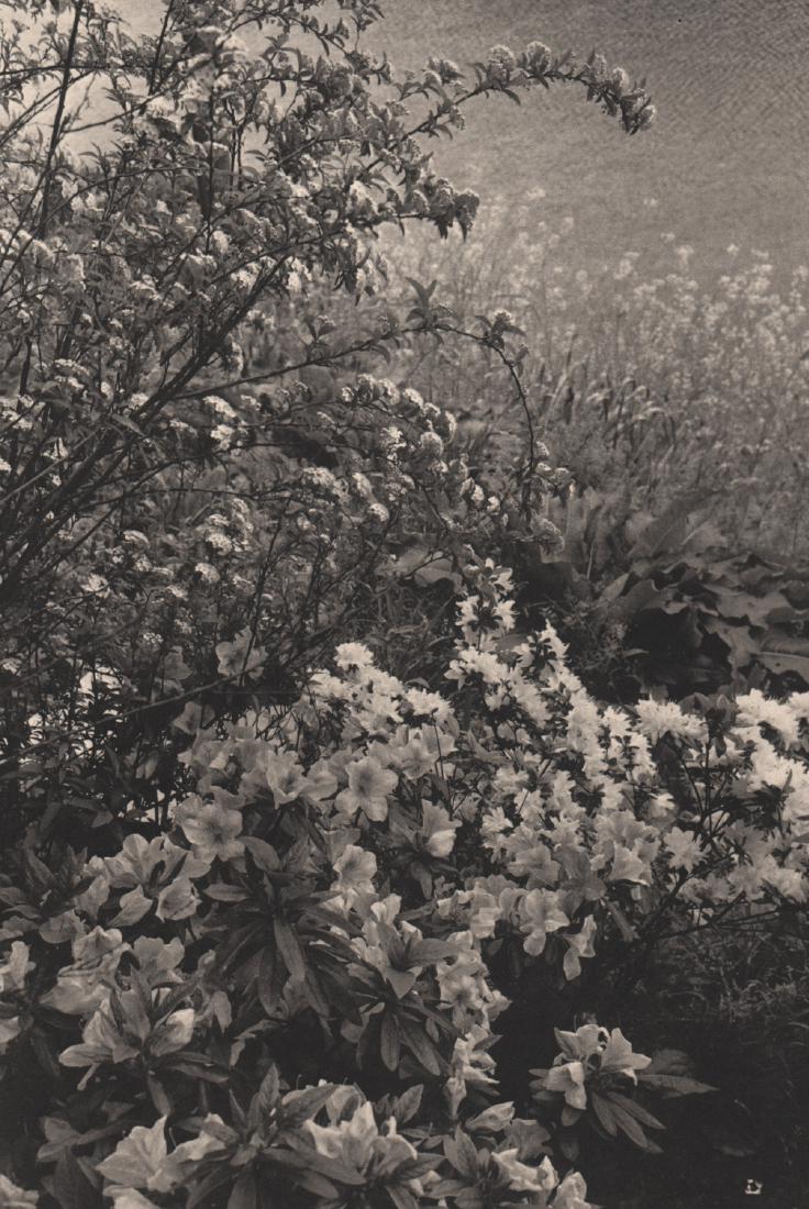 LEE FRIEDLANDER - Tokyo 1977: Artist: LEE FRIEDLANDER Print Title: Tokyo 1977 Medium: Photo-engraving on heavy matte art paper Printing Date: 1981 Printed in the USA Image Size: 7.25 X 11 inches Lee Friedlanderborn July 14, 1934)