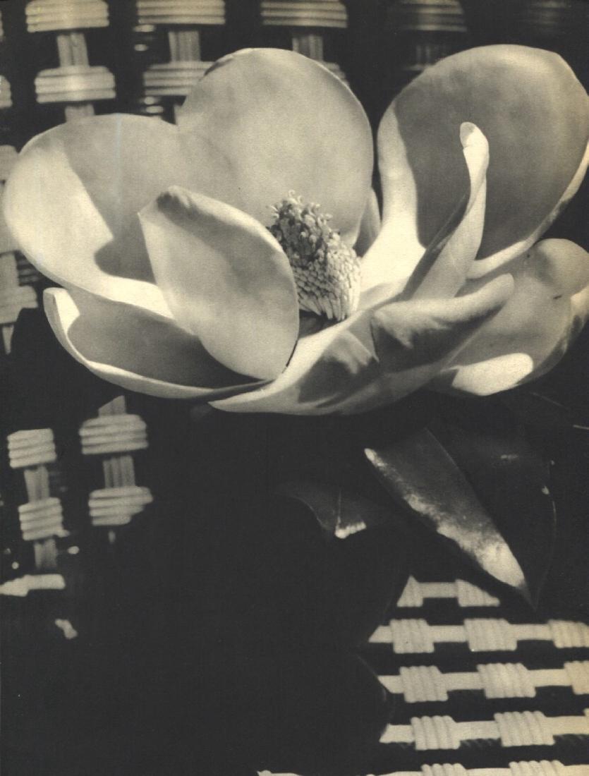 MAN RAY - Flower: Artist: MAN RAY Print Title: Flower Medium: Sheet-fed Gravure Printing Date: 1934 Printed in France Image size approx. 8.25 x 11 inches Man Ray, original name Emmanuel Radnitzky, was born on August 27