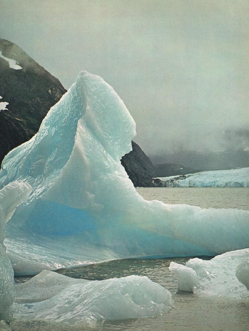 WILLIS PETERSON - Alaskan Glacier: Artist: WILLIS PETERSON Print Title: Alaskan Glacier Medium: Color Sheet-fed Gravure Printing Date: ca. 1960 Printed in Switzerland Image size approx. 9 x 12 inches Willis Peterson is an American wild