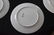 Set 12 Antique Limoges Porcelain Gilded Dinner Plates - 4