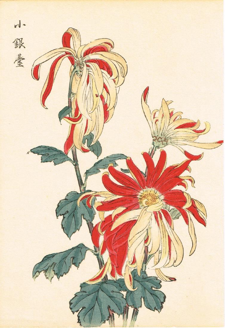 Hasegawa Keika Woodblock 100 Chrysanthemums (1 of 1)