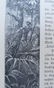 1888 Antique Book German Christopher Columbus - 7
