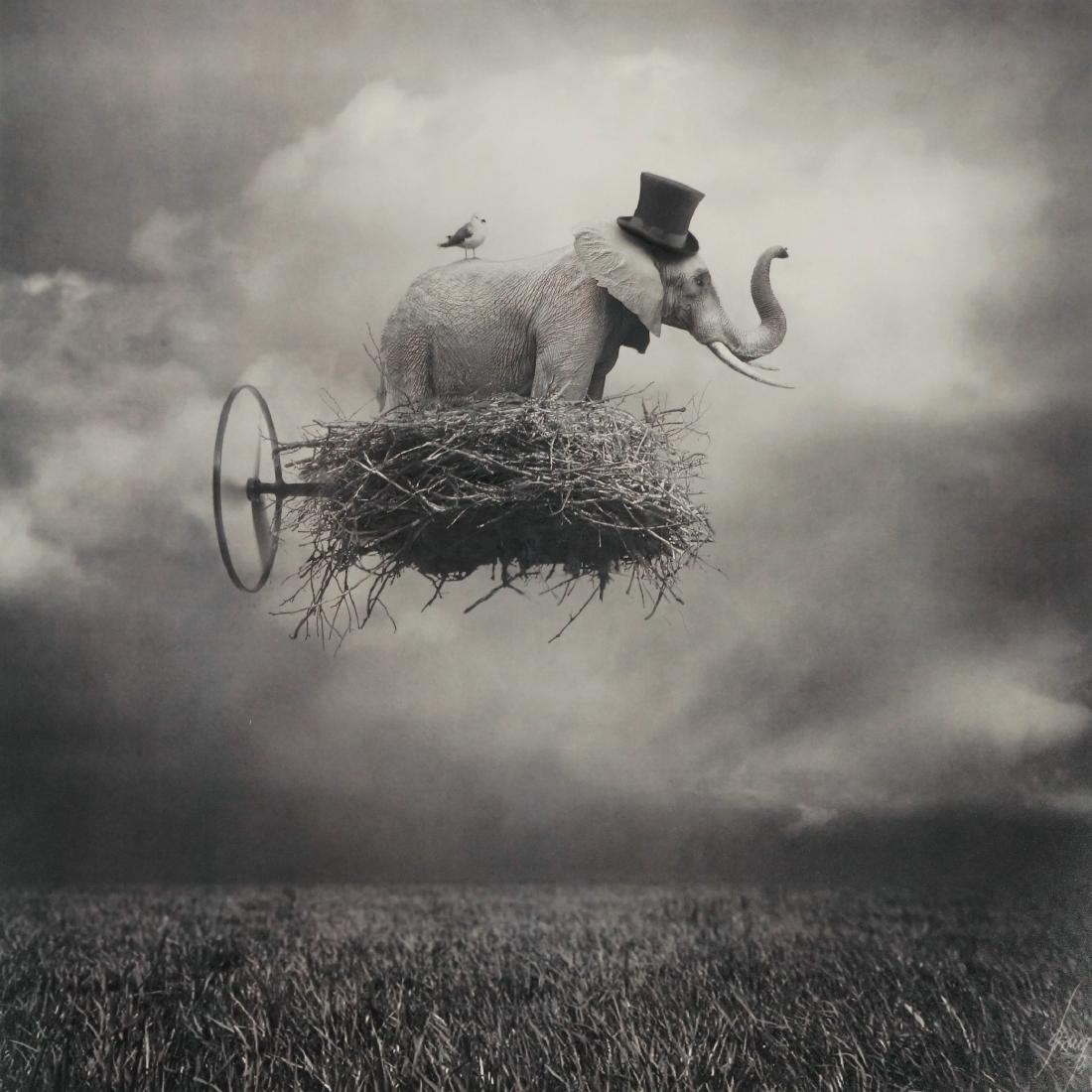 Beata Bieniak Flying Circus Print (1 of 7)