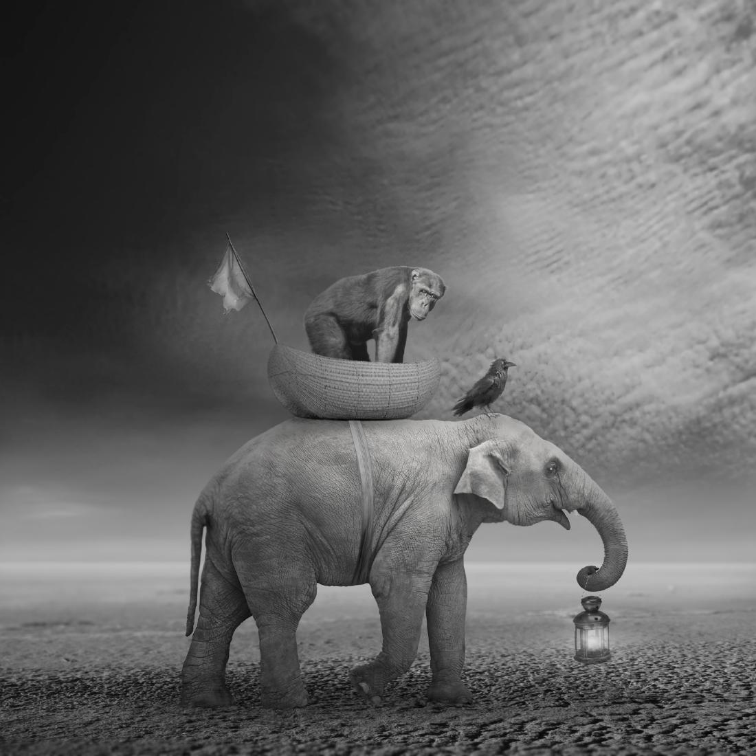 Beata Bieniak - Travels in Nihila Print (1 of 8)