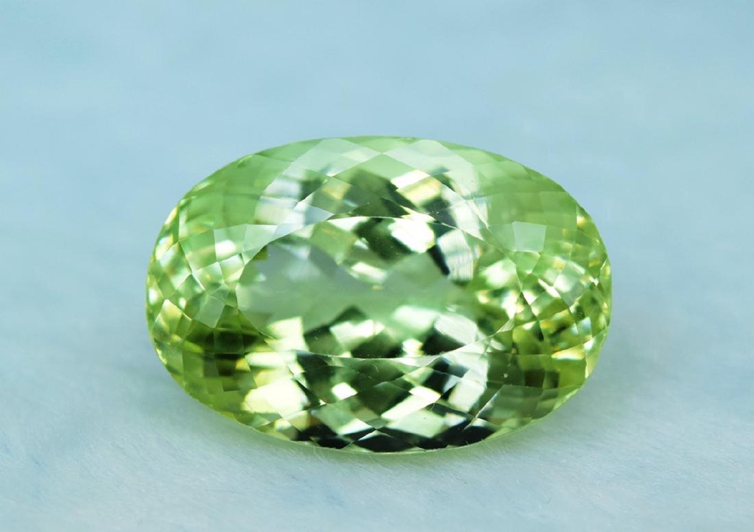 66.10 Carat Kunzite Loose Gemstone (1 of 4)