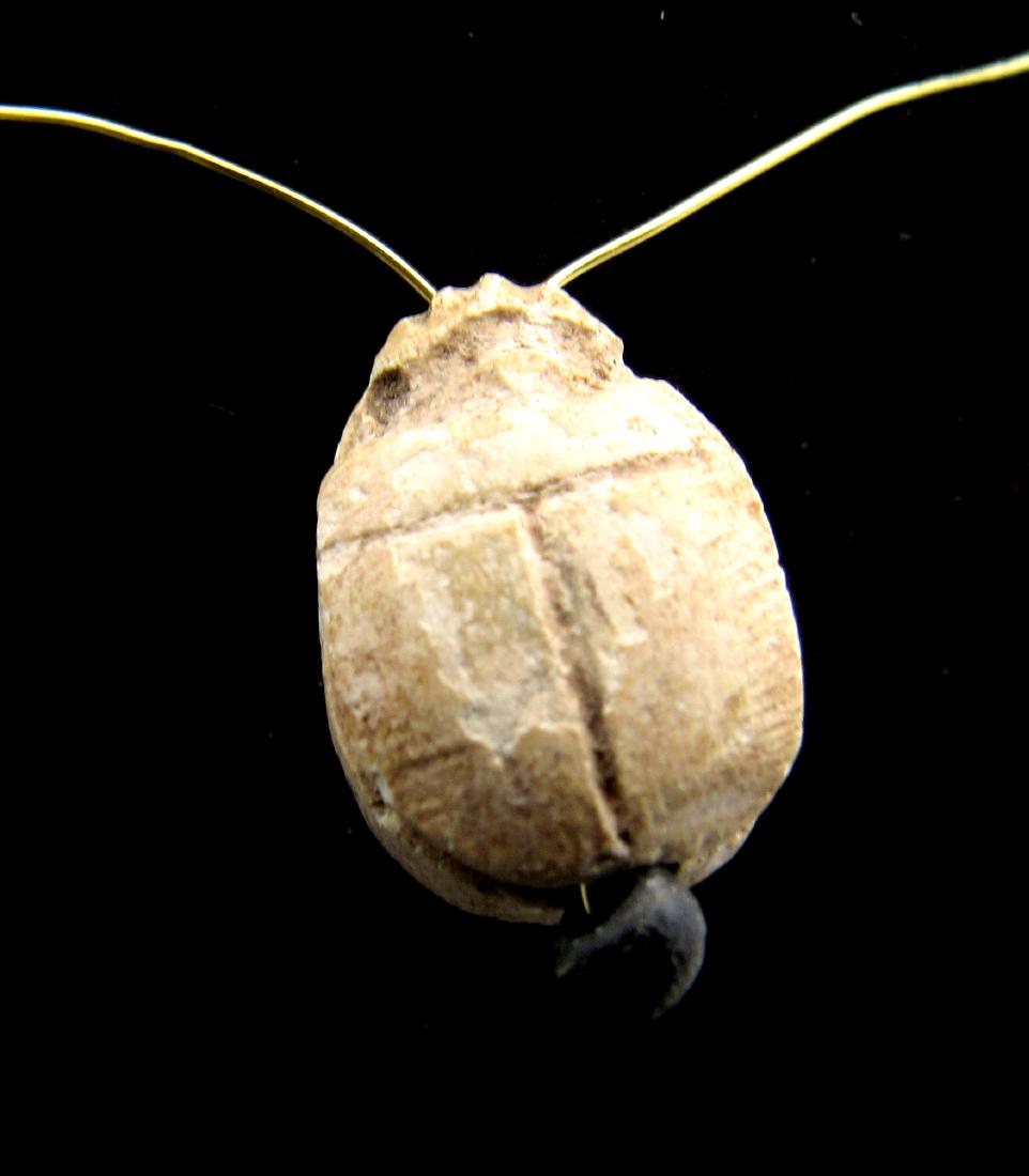 Ancient Egyptian Steatite Engraved Scarab Pendant (1 of 2)