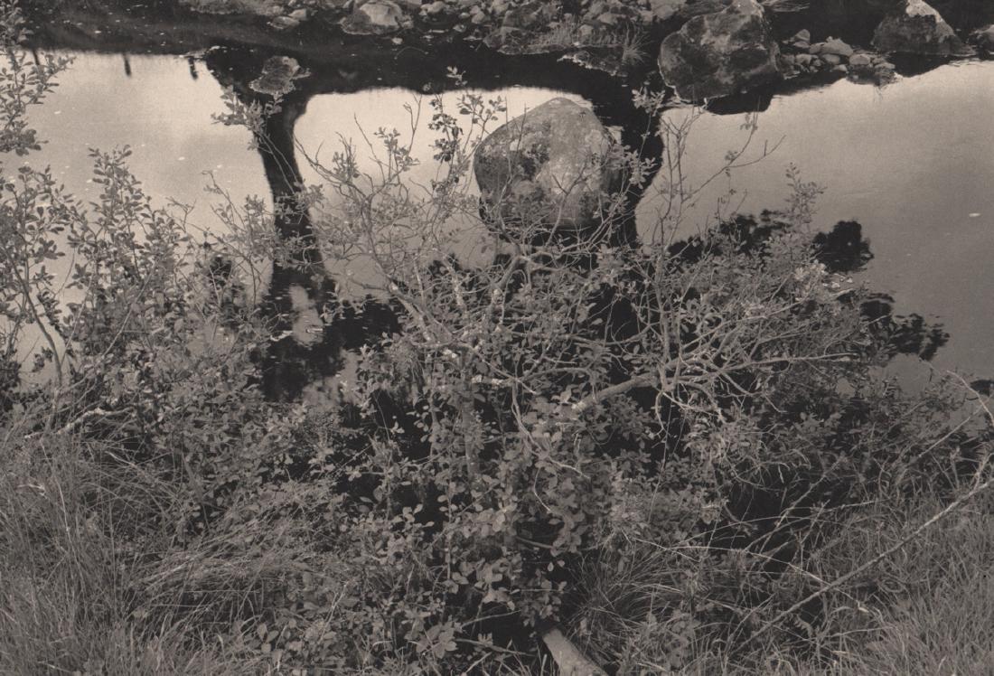 LEE FRIEDLANDER - Ayrshire, Scotland, 1978: Artist: LEE FRIEDLANDER Print Title: Ayrshire, Scotland, 1978 Medium: Photo-engraving on heavy matte art paper Printing Date: 1981 Printed in the USA Image Size: 11 X 7.5 inches Lee Friedlanderborn Ju