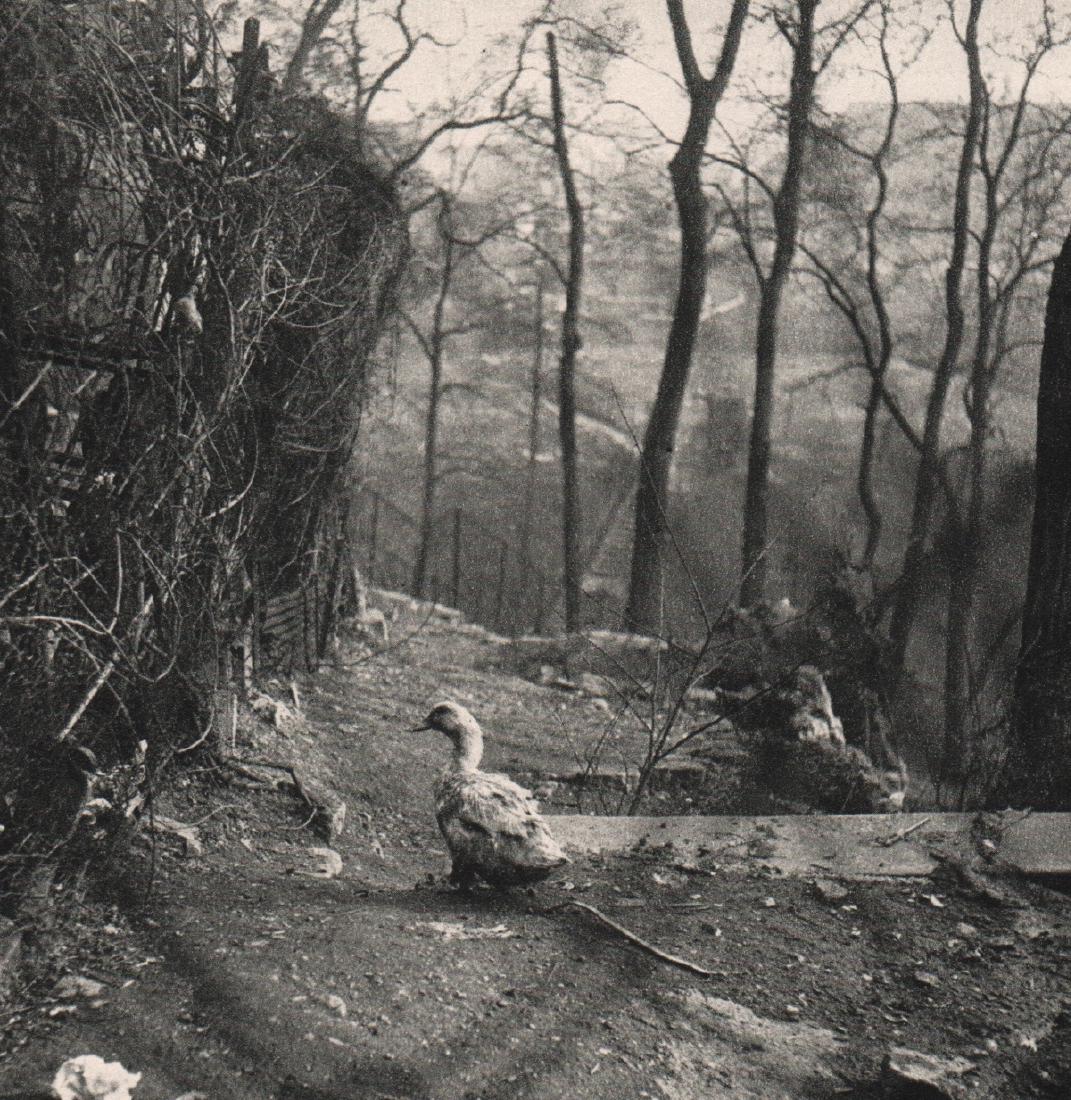 WILLY RONIS - Passage Vilin: Artist: WILLY RONIS Print Title: Passage Vilin Medium: Sheet-Fed Gravure Printing Date: 1954 Printed in France Image Size: 4.5 X 4.5 inches Willy Ronis(1910-2009) was a French photographer. His best-k