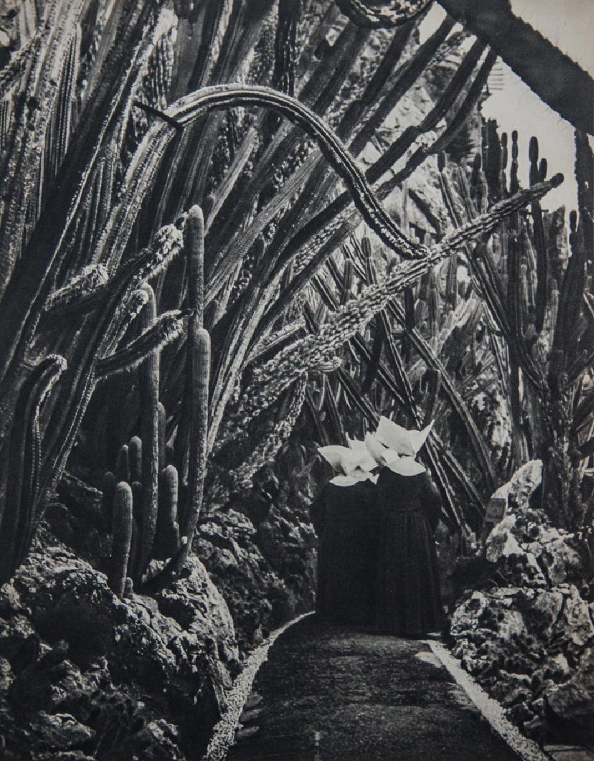 BRASSAI - Cactus Garden: Artist: Brassai Title: Cactus Garden Medium: 1947 Sheet Fed Gravure Dimensions: 9x11.5" Wax Tissue Heat Mount on 14x18" conservation board With COA Brassai was a Hungarian-French photographer who rose