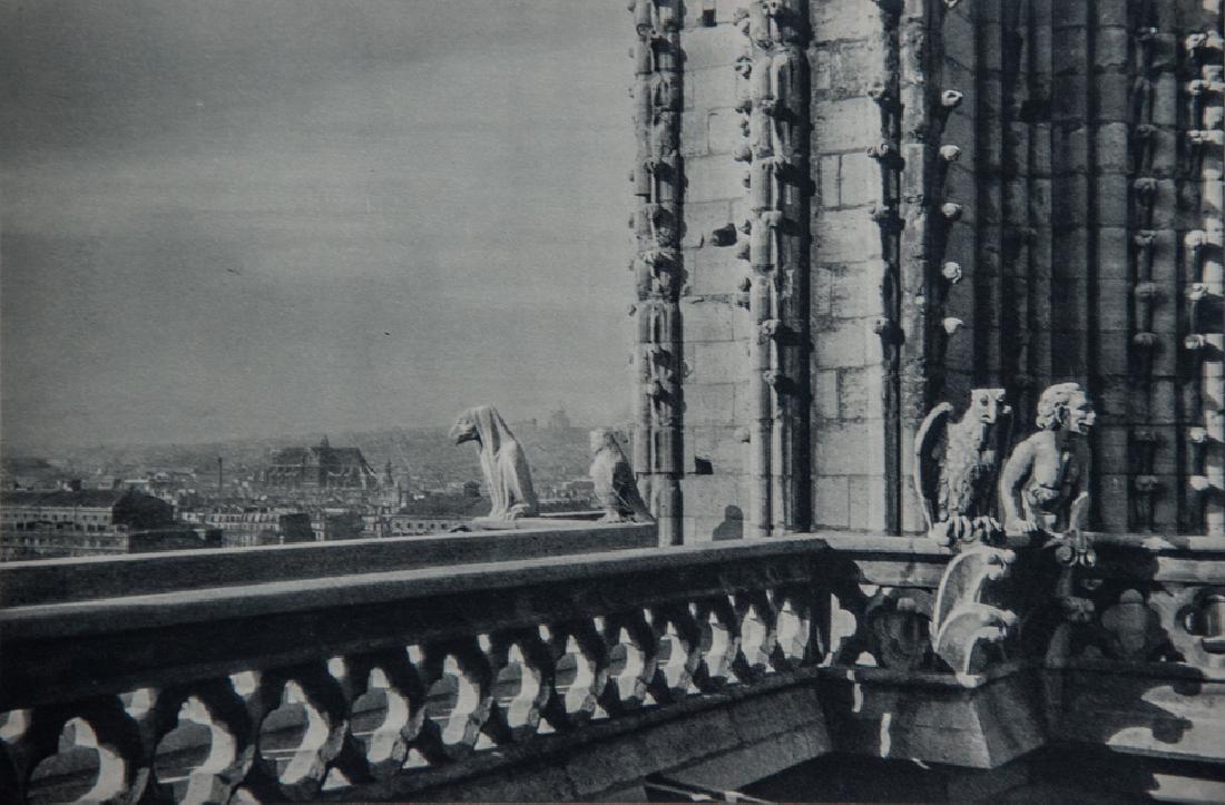 GERMAINE KRULL - Notre Dame North West View, Paris (1 of 1)