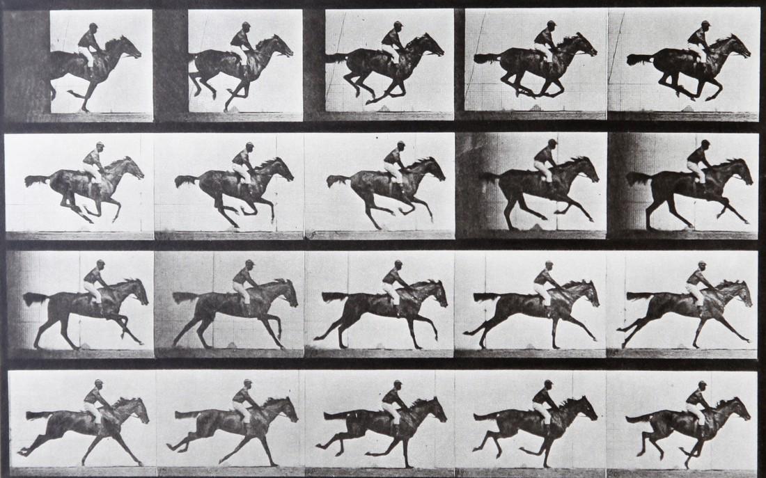 EADWEARD MUYBRIDGE - Horse at galop AL667: Artist: Eadweard Muybridge Title: Horse at galop AL667 Date Printed: 1979 Date Printed: Italy Printer Location: Milan Size: 26.2x16.5 cm - 10.3 x 6.5 inch With tissue guard Mount Size: 30x40 cm - 15.7