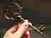 item-59836185=3