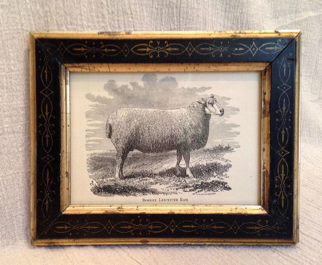 Late 19th Century Sheep Engraving (1 of 2)
