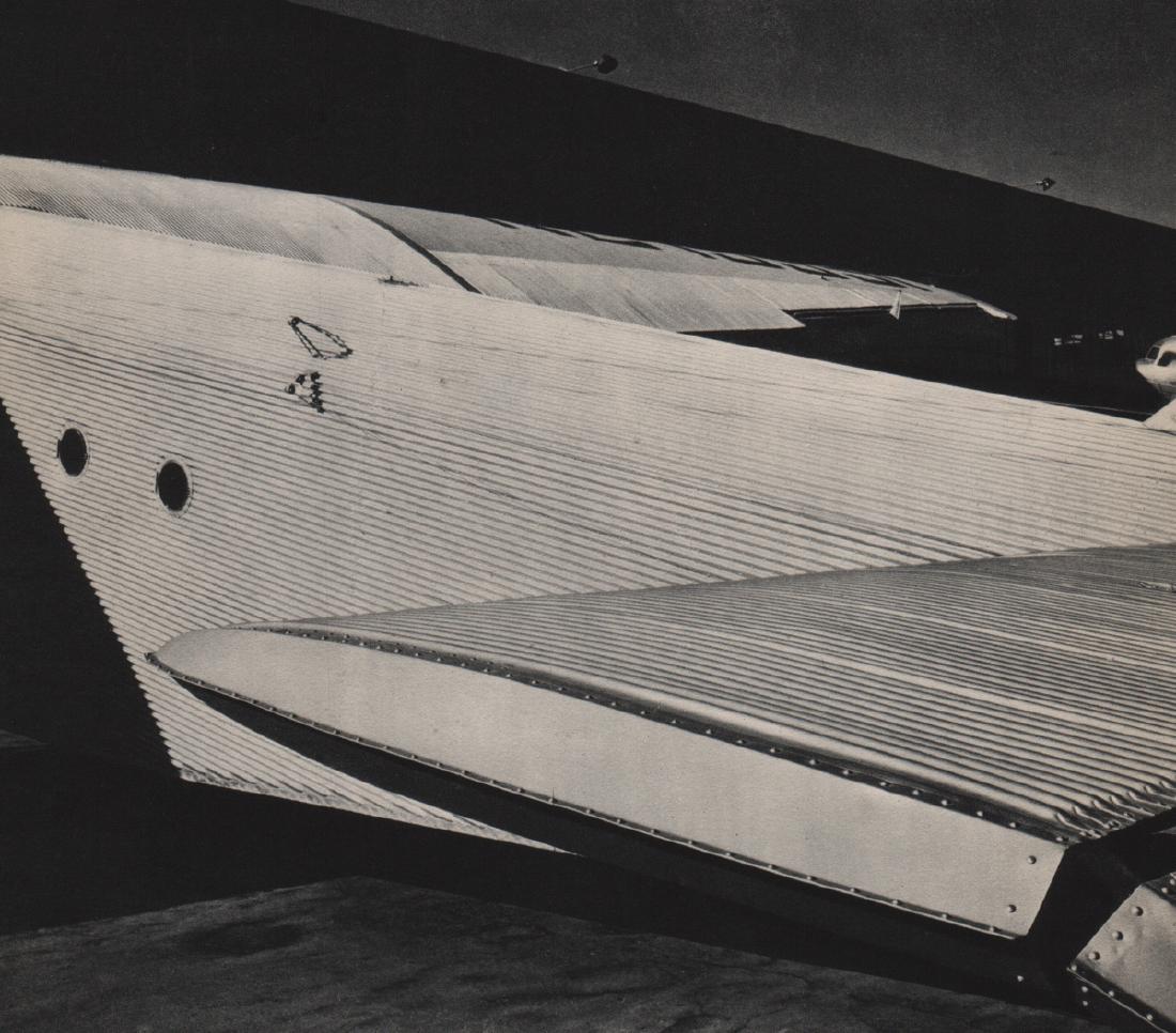 BRETT WESTON - Wing: Artist: BRETT WESTON Print Title: Wing Medium: Sheet-fed Gravure Printing Date: 1936 Printed: USA Image Size: 8.25 X 7 inches Brett Weston (1911-1993) was an American photographer. Van Deren Coke desc