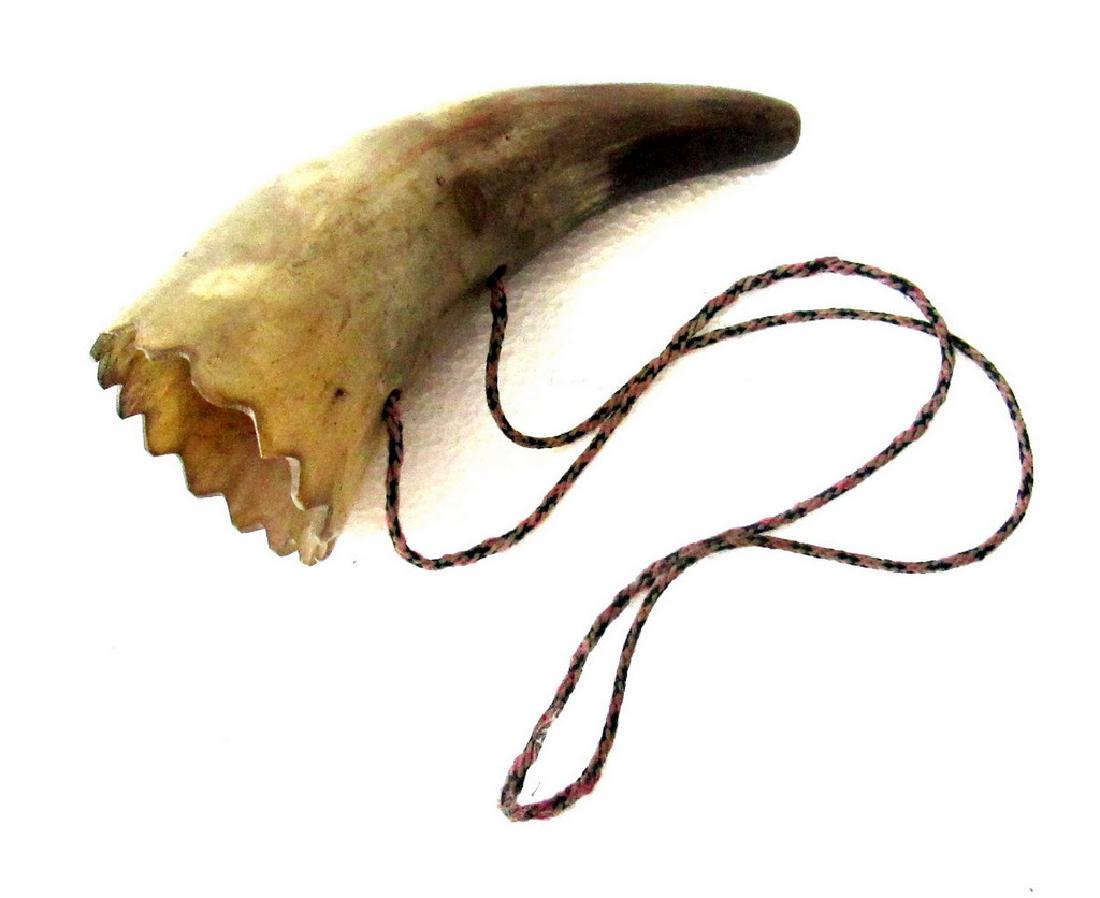 Early Carved Horn Funnel (1 of 8)