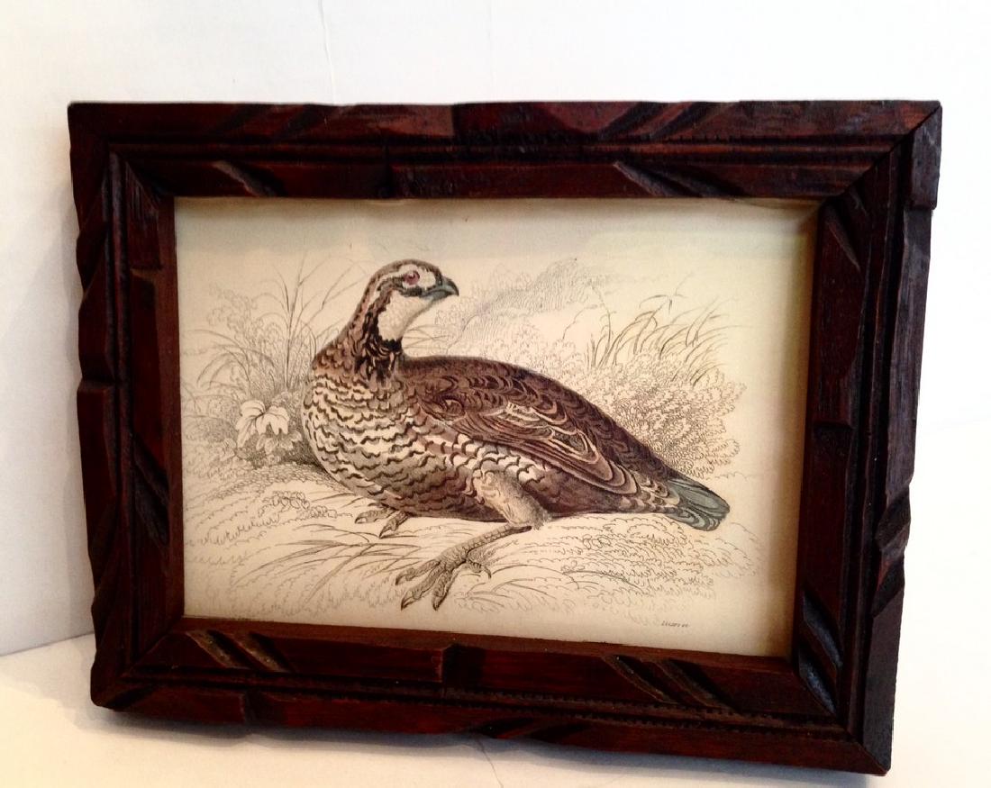 1830s Quail Colored Engraving (1 of 2)