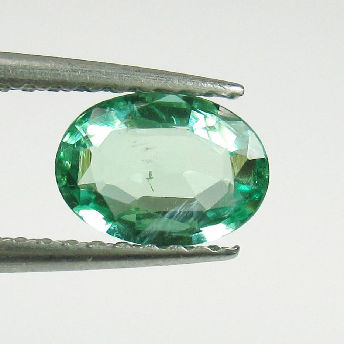 0.75 Carat Natural Loose EXclusive "VVS" Emerald (7x5) (1 of 2)