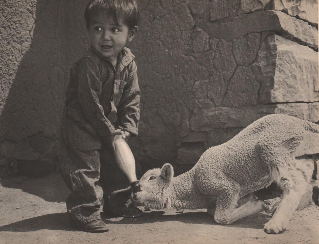 WALTER HERDEG - Lamb and Boy: Artist: WALTER HERDEG Print Title:Lamb and Boy Medium: Photoengraving Printed in: The USA, 1937 Image Size: approx. 8 x 10.5” No Reserve: This lot starts at $1 and has no reserve as a courtesy so th