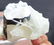 136 gram top quality terminated and undamaged blue cap - 2