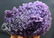Double Sided Purple Chalcedony Grape Agate Crystals