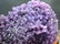 Double Sided Purple Chalcedony Grape Agate Crystals - 5