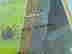 item-60264143=3