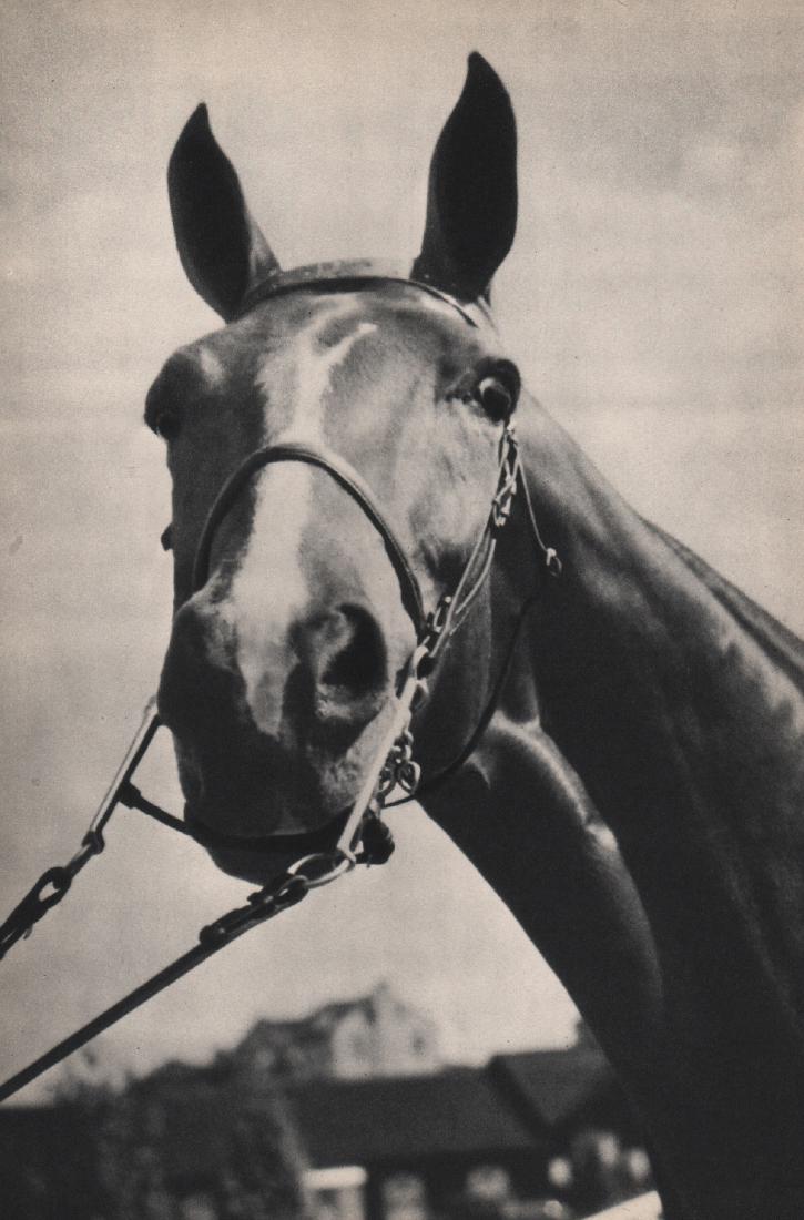 IVAN DMITRI - Fiery Crags of Dixiana: Artist: IVAN DMITRI Print Title: Fiery Crags of Dixiana Medium: Sheet-Fed Gravure Printed in 1937 Printed in the USA Image size approx. 8 X 10.5 inches Ivan Dmitri (1900-1968) born Levon West, was an