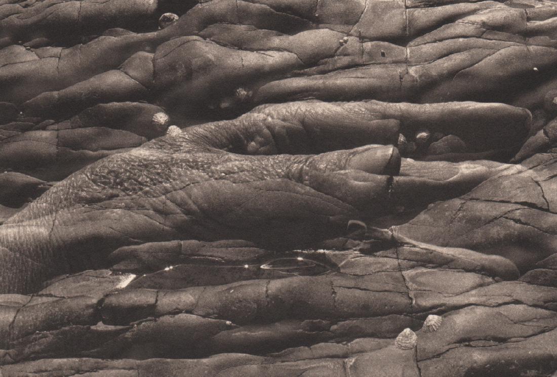 ERNESTINE RUBEN - My Poor Left Hand: Artist: ERNESTINE RUBEN Print Title: My Poor Left Hand Medium: Photo-Lithograph Printing Date: 1999 Printed in the USA Image size: 5.5 x 3.75 inches Ernestine Rubenlives and works in New York City. Sh