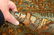 Animal Subjects Design Persian Qome Rug 4.4x6.9 - 10