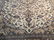 Magnificent Antique Persian Kashan Rug 7.9x11.0 - 3