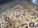 Magnificent Antique Persian Kashan Rug 7.9x11.0 - 5