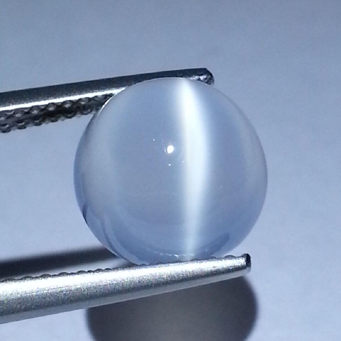 Cat's Eye Moonstone - 3.69 Carat Loose (1 of 4)