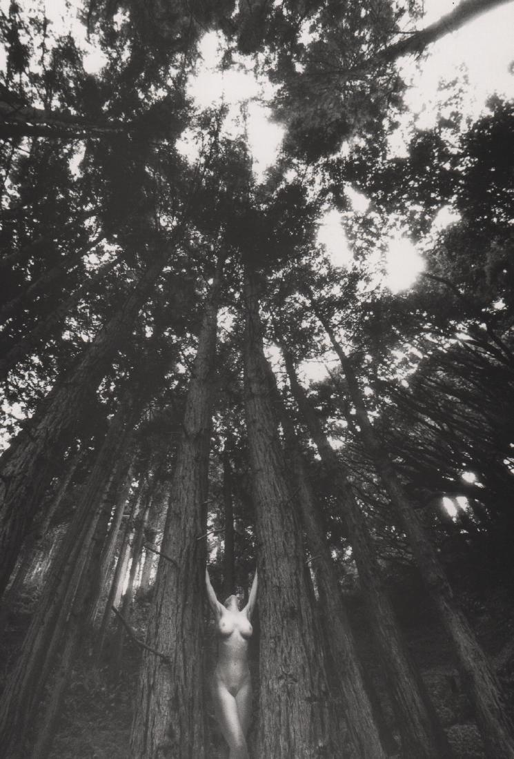 LUCIEN CLERGUE - Nude with Trees, Big Sur: Artist: LUCIEN CLERGUE Print Title: Nude with Trees, Big Sur, 1996 Medium: Photo-lithograph Printing Date: 1999 Printed in Germany Image Size: 8 X 12 inches Lucien Clergue August 14, 1934 – November