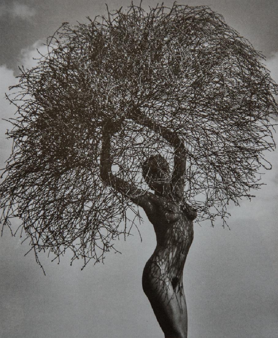 HERB RITTS - Nude, Neith with Tumbleweed, 1986: Artist: Herb Ritts Title: Nude, Neith with Tumbleweed, 19861987 Photol Litho, US Dimensions: 7x8.5" Heat Mounted on 11x14" archival conservation board Herb Ritts (1952-2002) was an American fashion ph