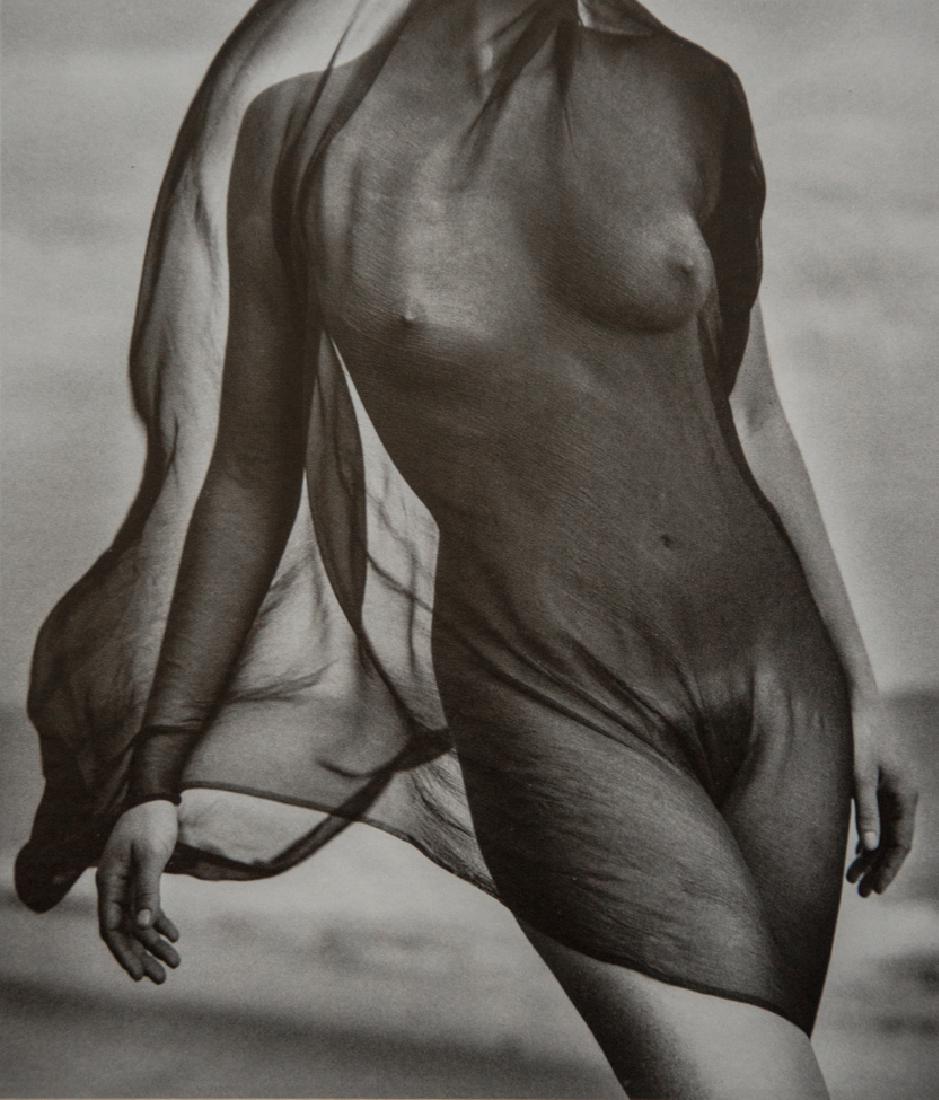 HERB RITTS - Nude, Veiled Torso 1984: Artist: Herb Ritts Title: Nude, Veiled Torso 19841987 Photo Litho, US Dimensions: 7x8" Heat Mounted on 11x14" archival conservation board Herb Ritts (1952-2002) was an American fashion photographer wh