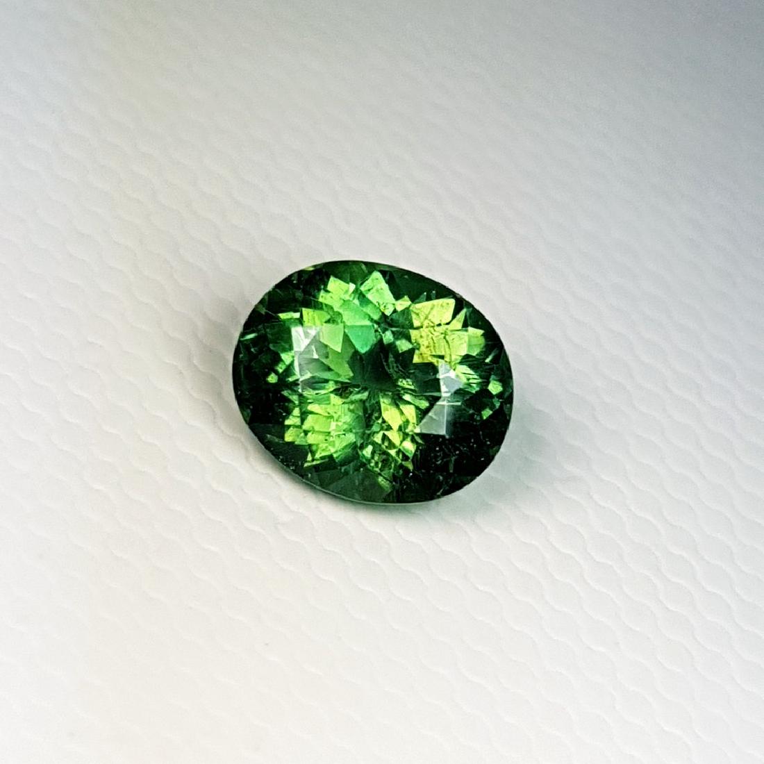 Green Apatite - 1.48 Carat Loose (1 of 4)