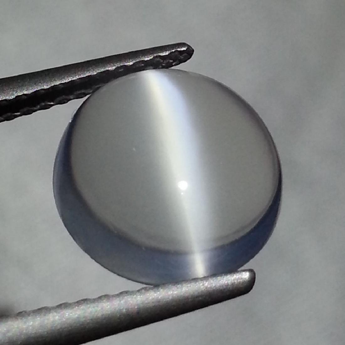 Moonstone Cat's Eye - 3.37 Carat Loose: Item: Moonstone Cat's Eye - 3.37 Loose gemstone Color/Clarity: IF - VVS Carat Weight: 3.37 Size (mm): 10.00 x 10.09 x 4.29 Round - Srilanka No Reserve: This lot starts at $1 and has no reserve as a co