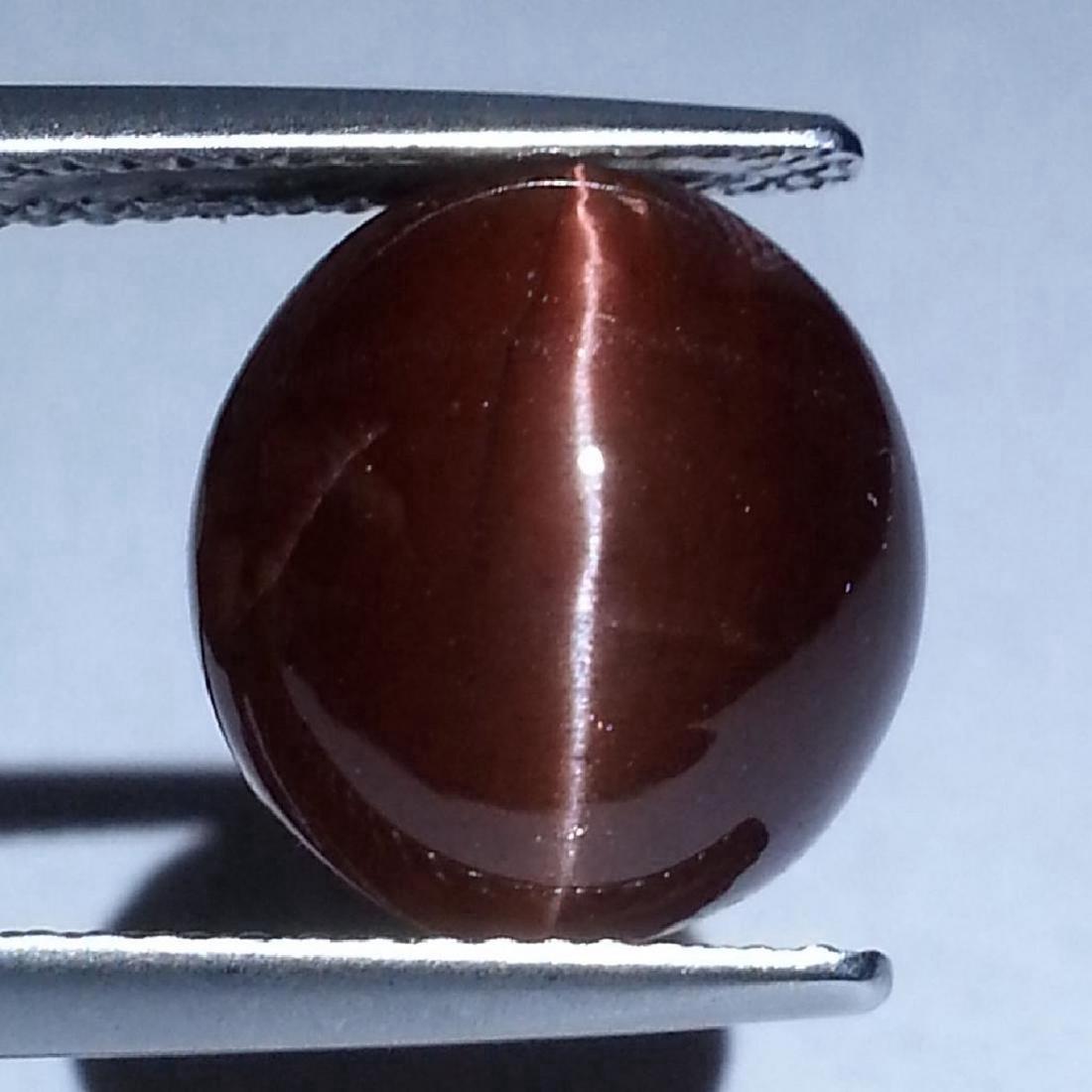 Scapolite Cat's Eye - 7.00 Carat Loose: Item: Scapolite Cat's Eye - 7.00 ct Loose gemstone Color/Clarity: Opaque Carat Weight: 7 Size (mm): 13.20 x 11.20 x 6.21 Oval - Africa International Gemological Institute No Reserve: This lot starts a