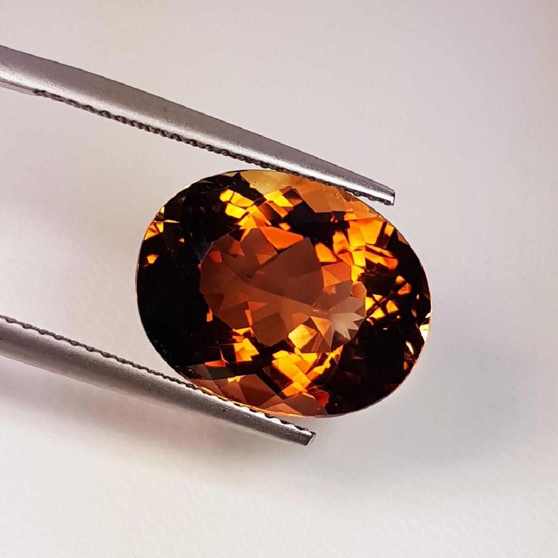 Champagne Topaz - 11.35 Carat Loose (1 of 4)