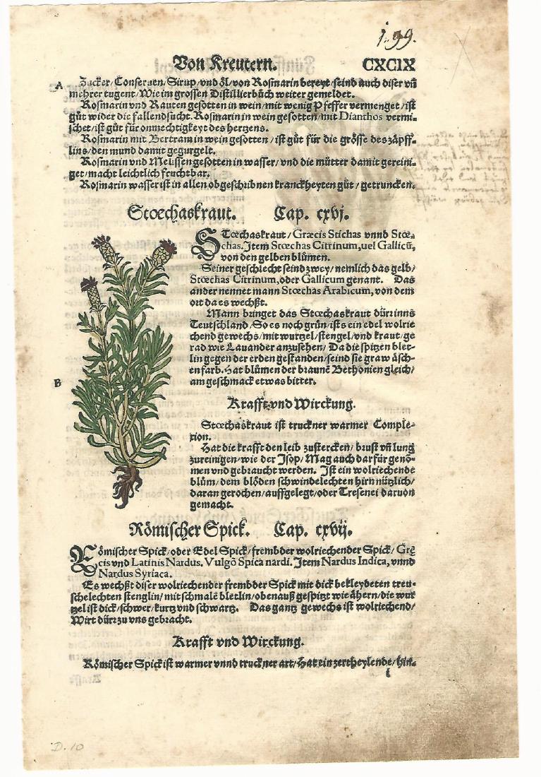 1565 Bock Herbal Leaf w/ Handcoloring (1 of 2)